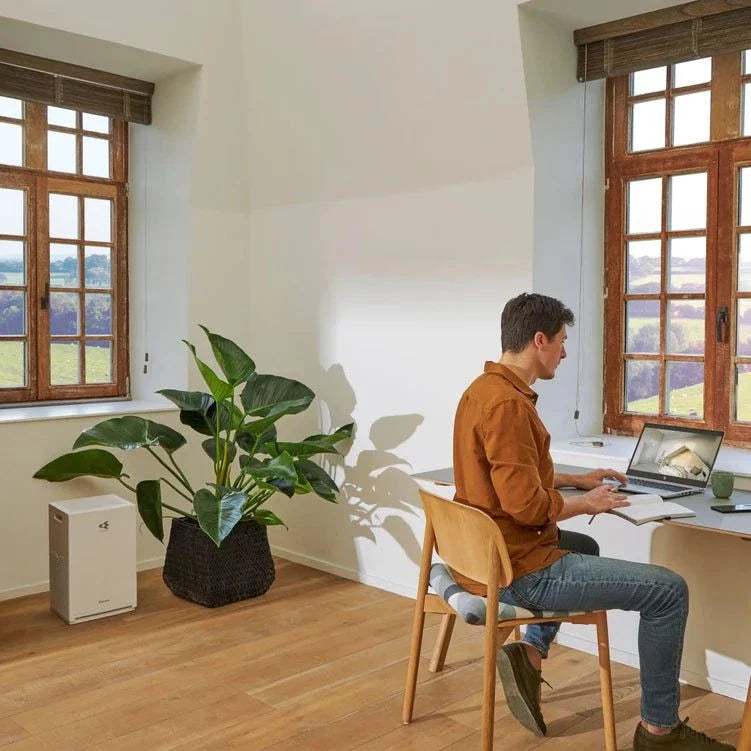 Daikin MC30Y air purifier in a bright room with wooden floors and windows, near a green plant, operating quietly while a man works on a laptop.